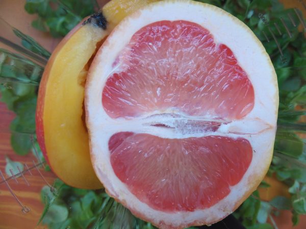 Grapefruit Überraschung
