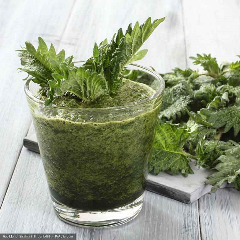 Brennnessel-Power Smoothie