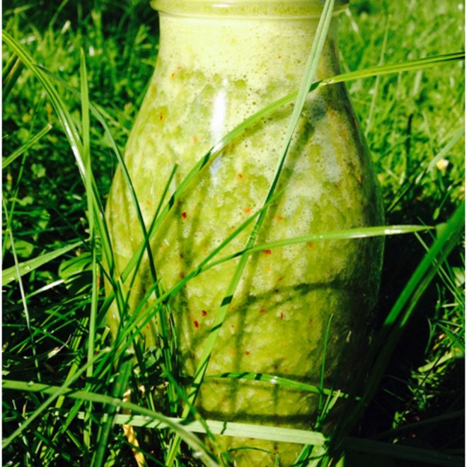 Gruene-Smoothies.com - Grüne Smoothie Rezepte und Tipps Gruene-Smoothies.com - Grüne Smoothie Rezepte und Tipps